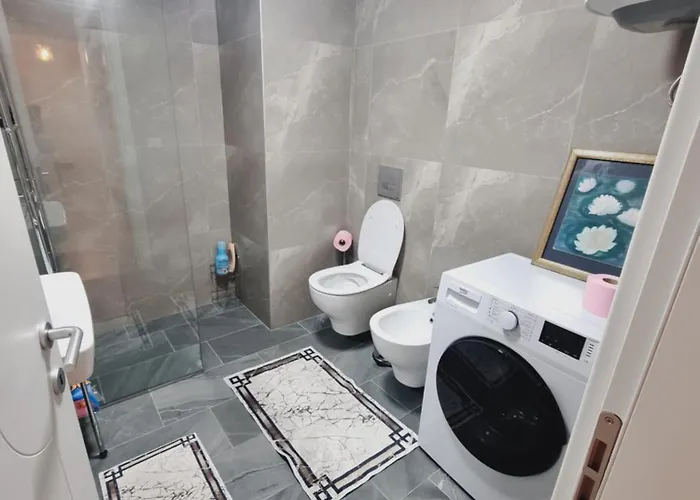 Allure Violin Tirana